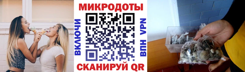 Купить где  Правдинск  Галлюциногенные грибы Psilocybe 